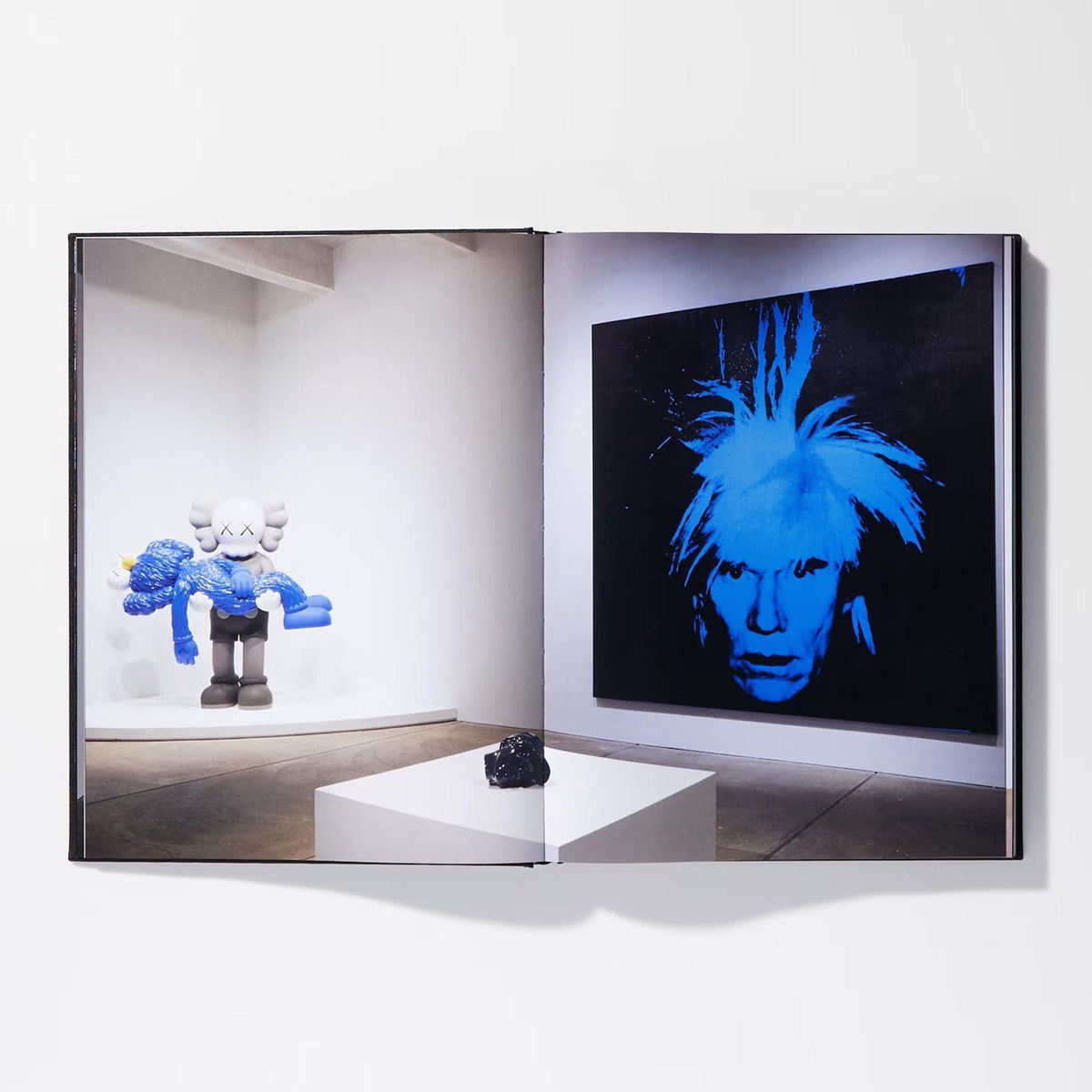 KAWS X Warhol Art Book - CerbeShops