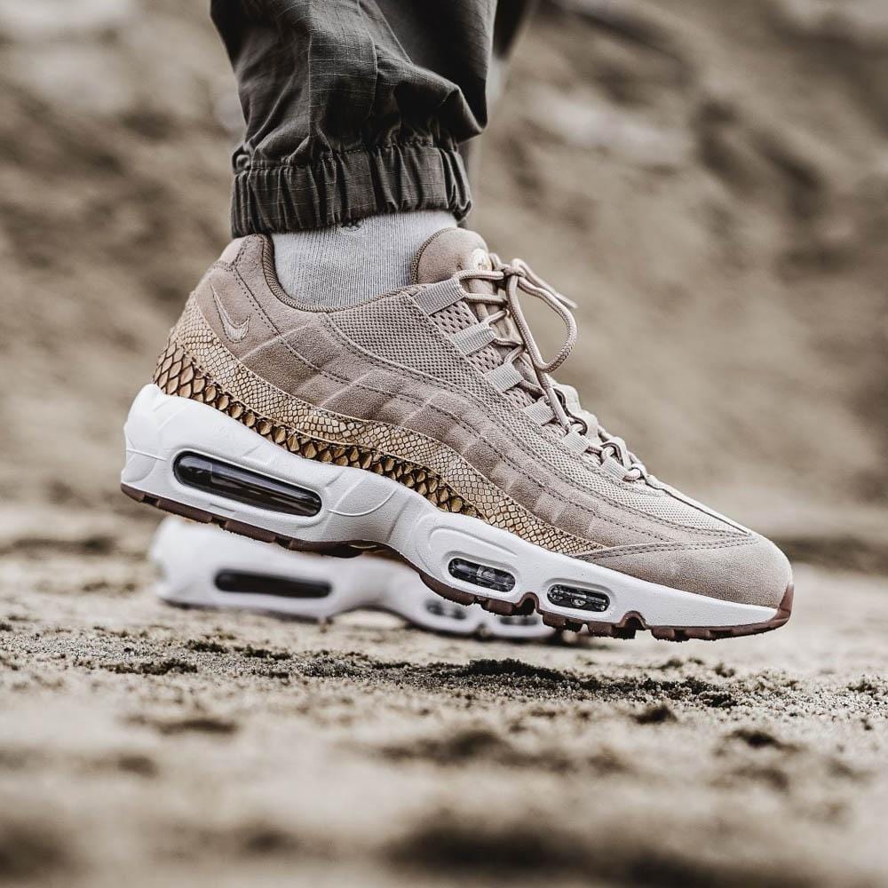 Tan air 2025 max 95s