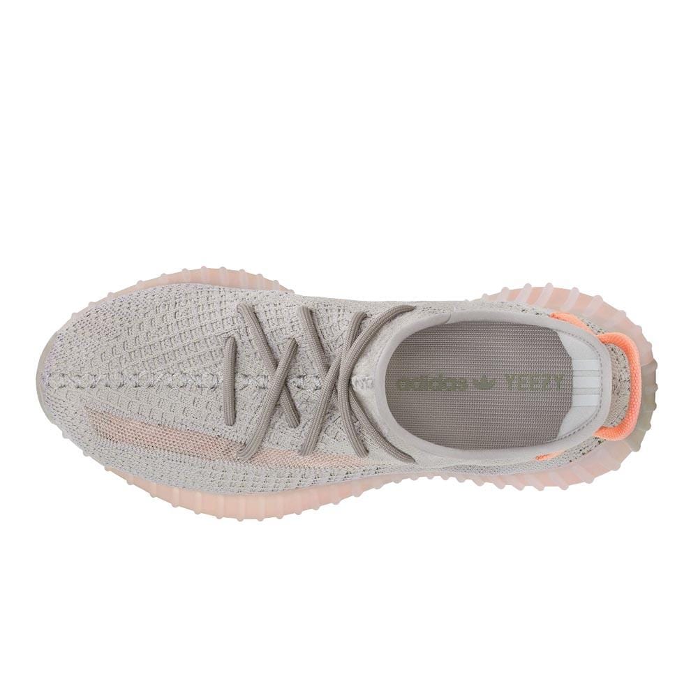 Adidas yeezy boost 350 clearance v2 true form eg7492