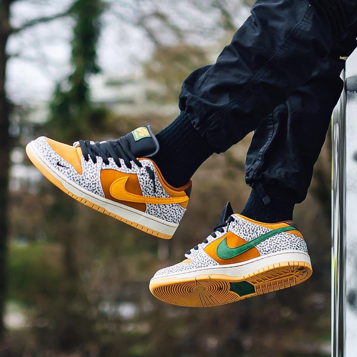 Nike dunk shop low sb safari