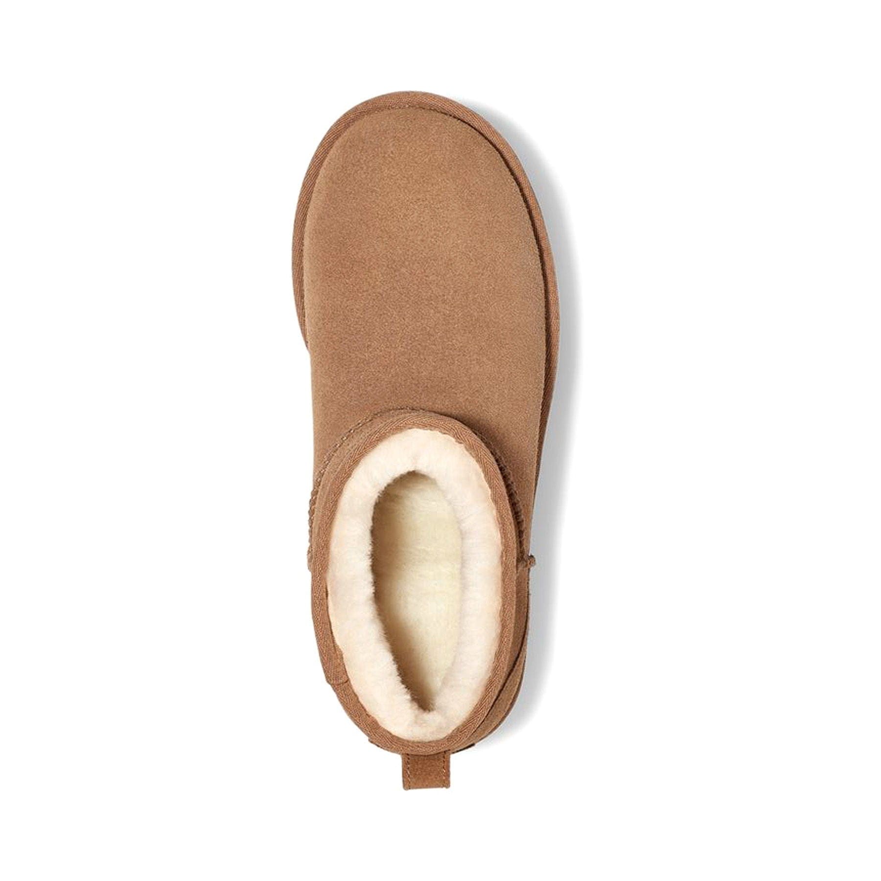 Uggs mini online dames